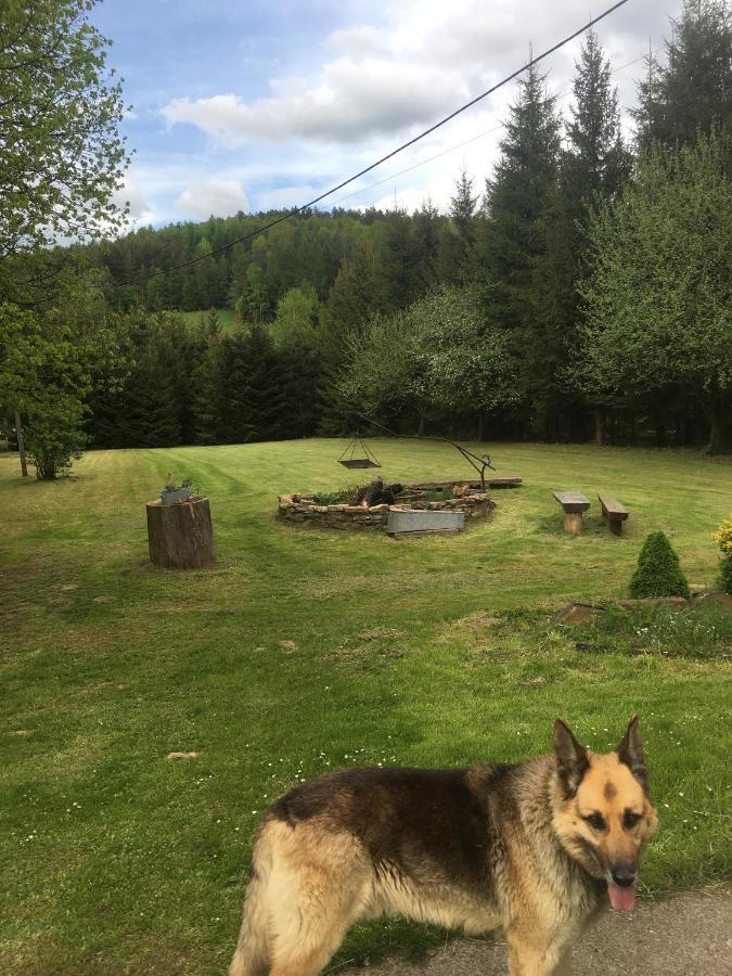 Villa Bieszczadzka Sielanka Wojtkowa Esterno foto